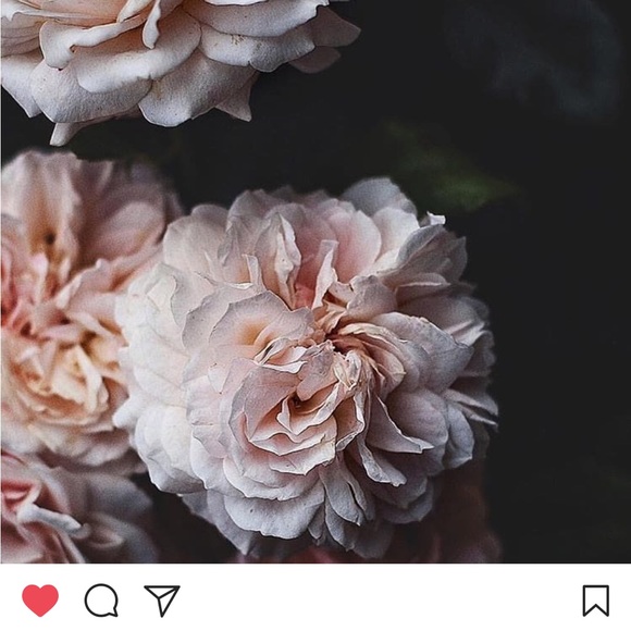 Meet your Posher, R - Picture 1 of 1